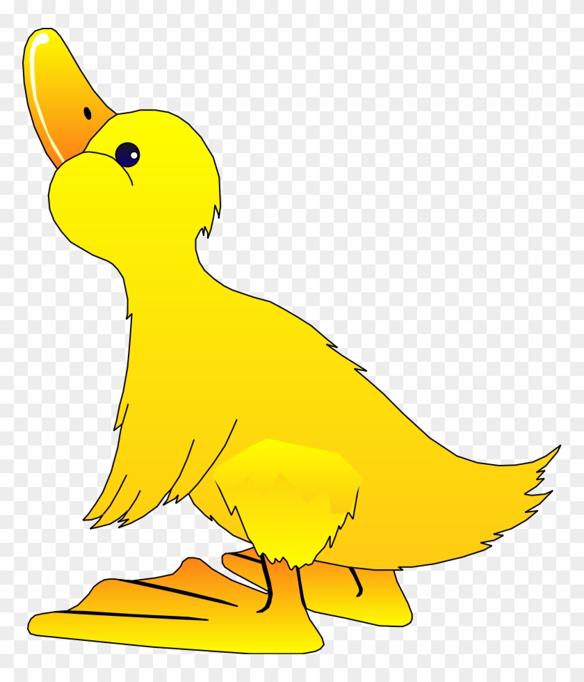 Transparent Background Duck Clipart #18899