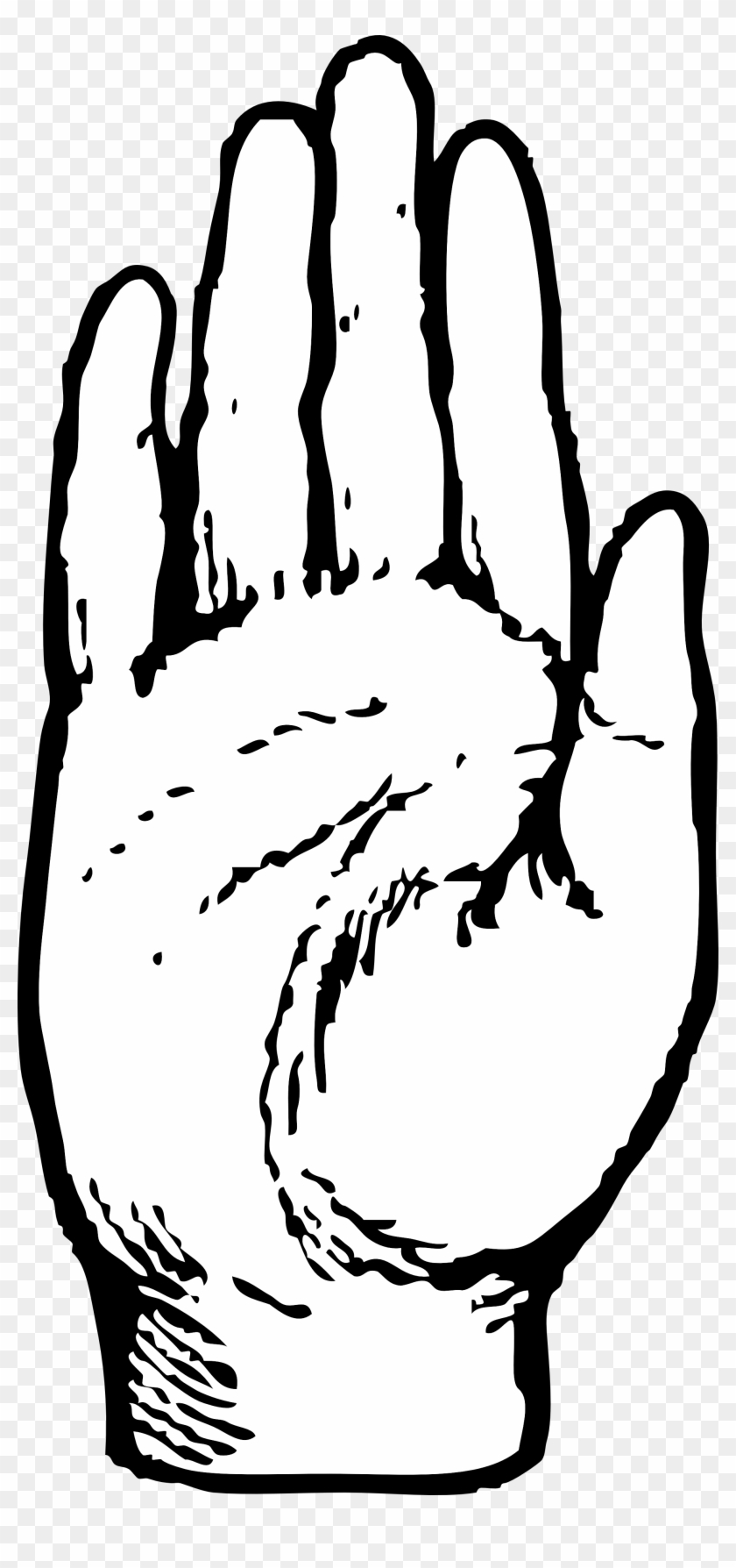 Clipart Info - Palm Hand Clip Art #19016