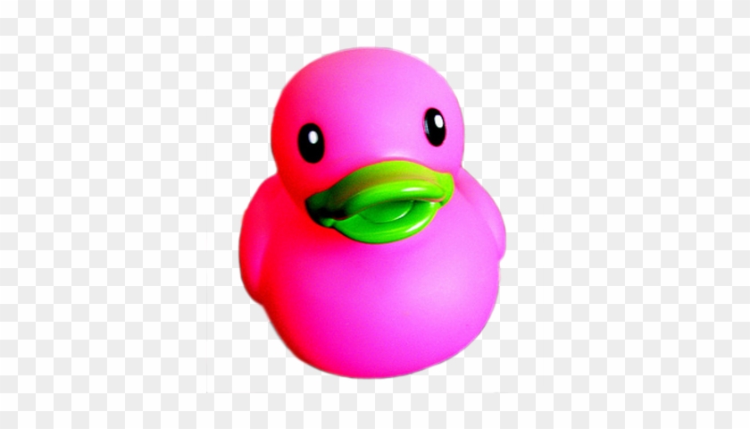 Free Rubber Duck Clip Art - Pink Rubber Duck Transparent Background #19038