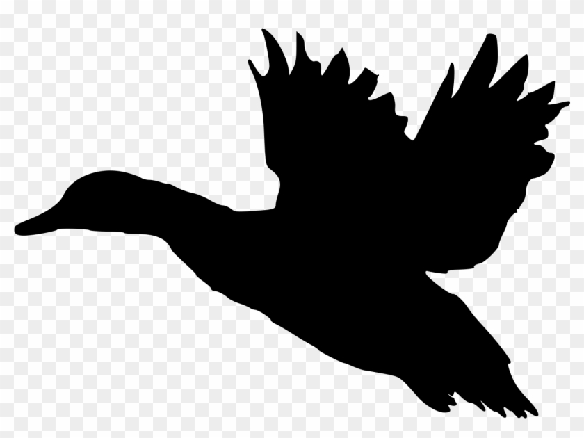 Fileduck Sotka1 - Flying Duck Silhouette Clip Art #19071