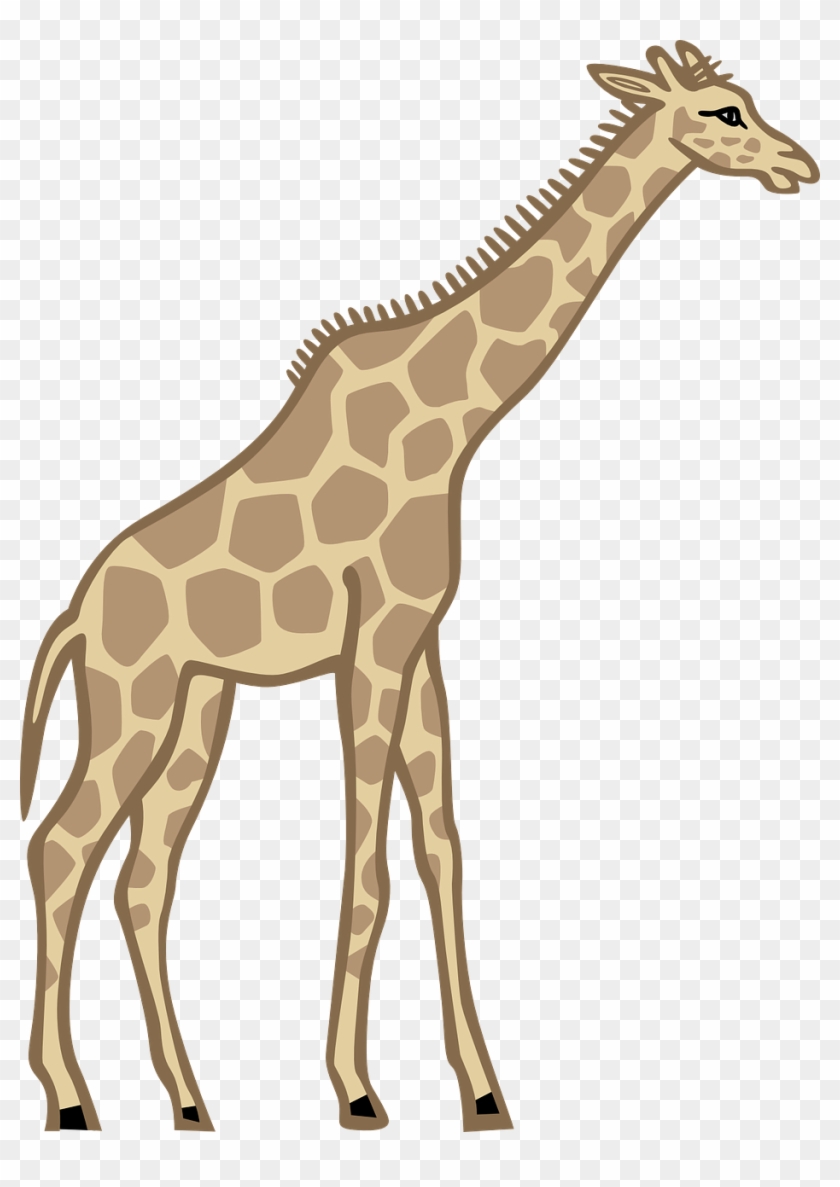 Giraffe Beetle Images - Tall Clipart #19330