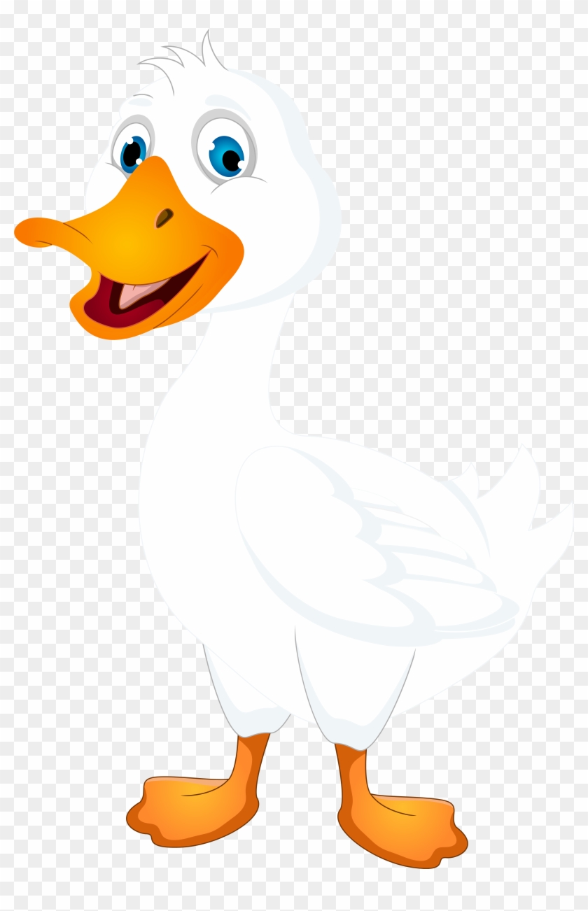 White Duck Cartoon Png Clip Art Image - White Duck Clipart - Free  Transparent PNG Clipart Images Download