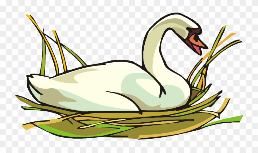 Swan Clip Art #19427