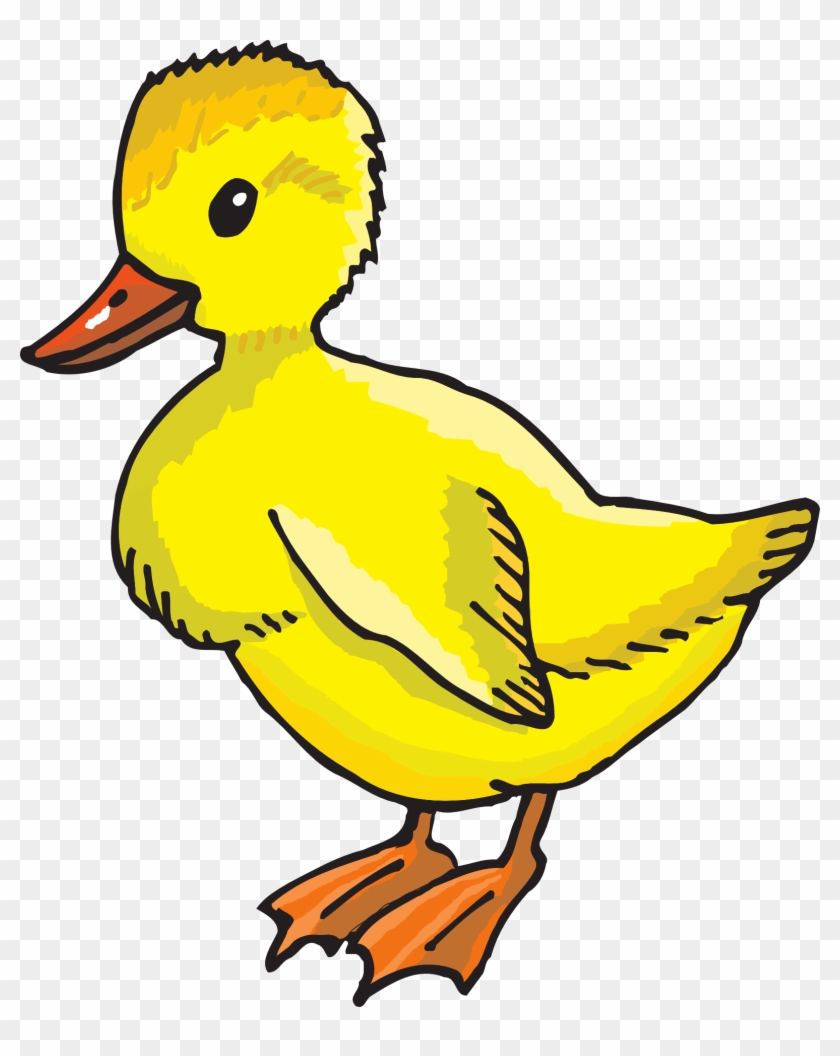Yellow Duckling Clip Art - Duckling Clipart #19452