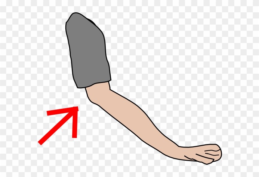 Elbow Clipart Png #19465