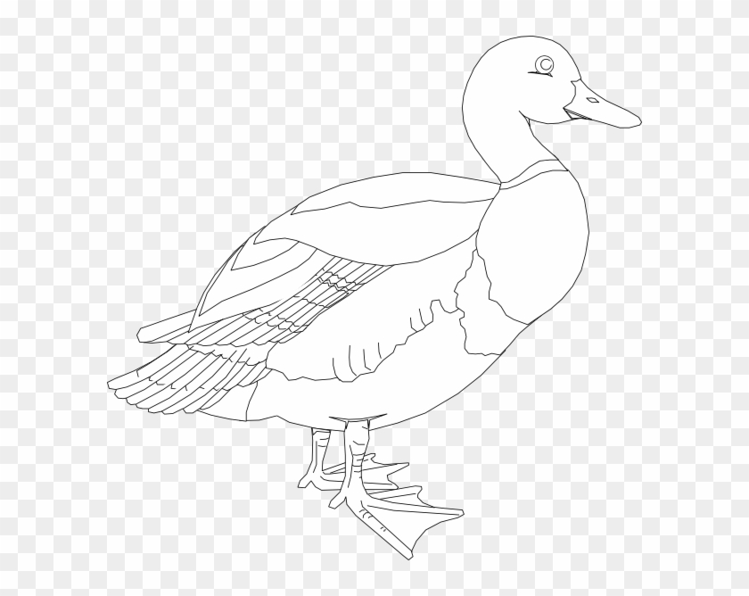 Black And White Duck Clipart - Clip Art #19526