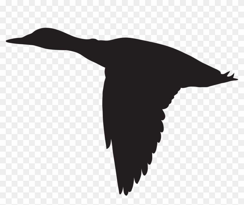 Duck Flying Silhouette Png Clip Art Image - Duck Flying Silhouette Png Clip Art Image #19567