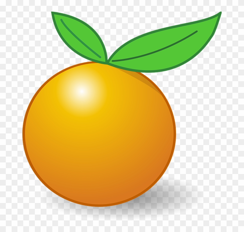 Citrus Clipart Orange Fruit Gambar  Buah  Jeruk  Kartun  