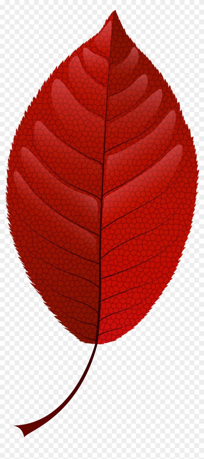 Red Fall Leaf Png Clip Art - Lantern #20205