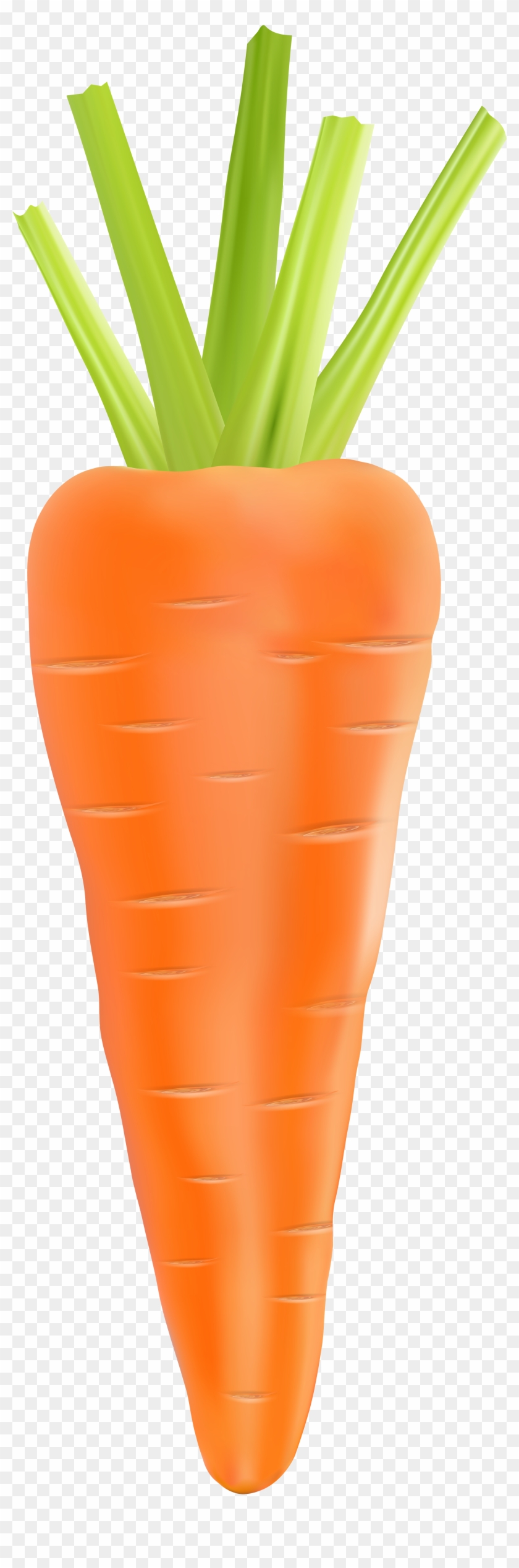 Carrot Clip Art - Carrot #20271