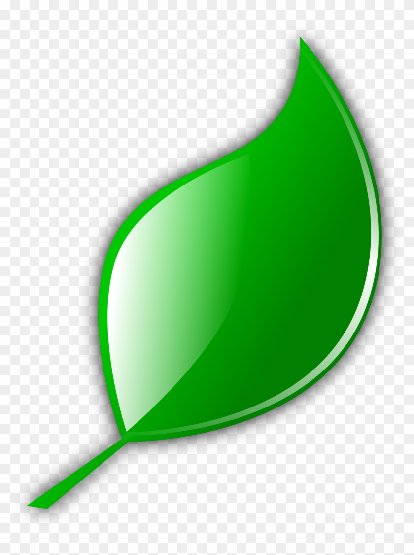 Leaf - Cartoon Leaf Transparent Background #20256