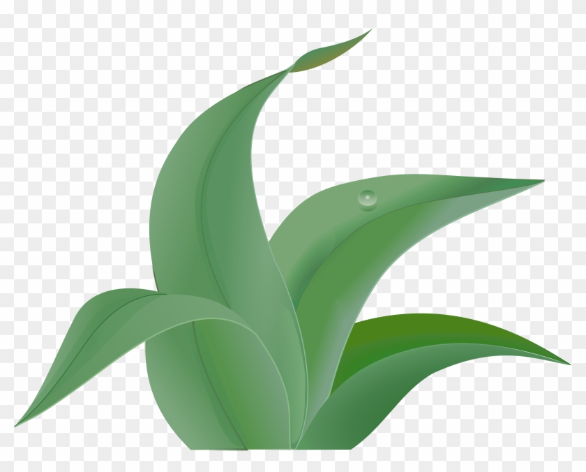 Ivy Clipart Big Leaf - Jungle Leaves Clip Art #20260