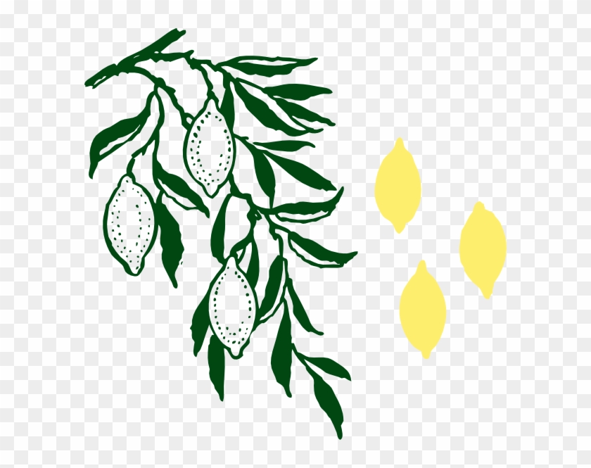 Hanging Plants Transparent Clipart #20280