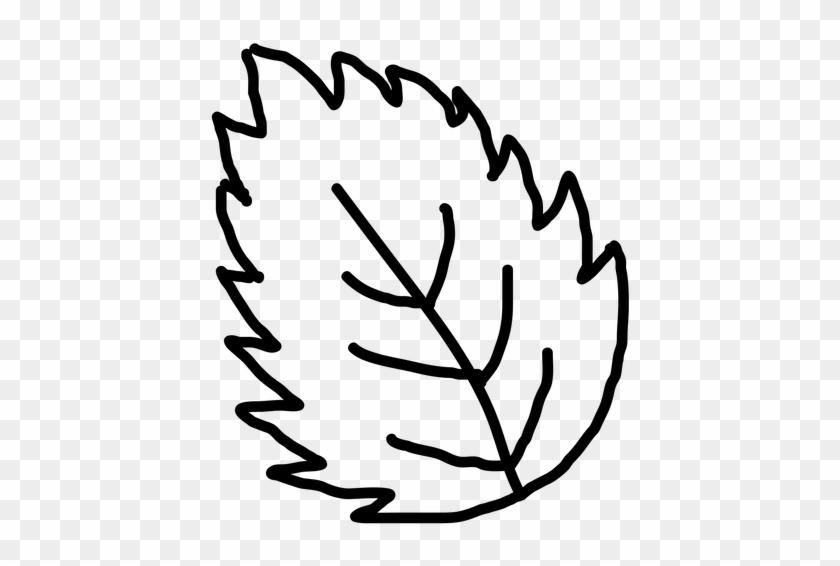 Hand Drawn Leaf Outline Transparent Clip Art - Outline Image Of Leaf #20490