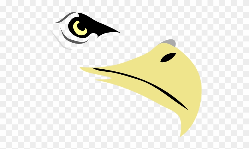 Eagle Eye Clip Art #20502