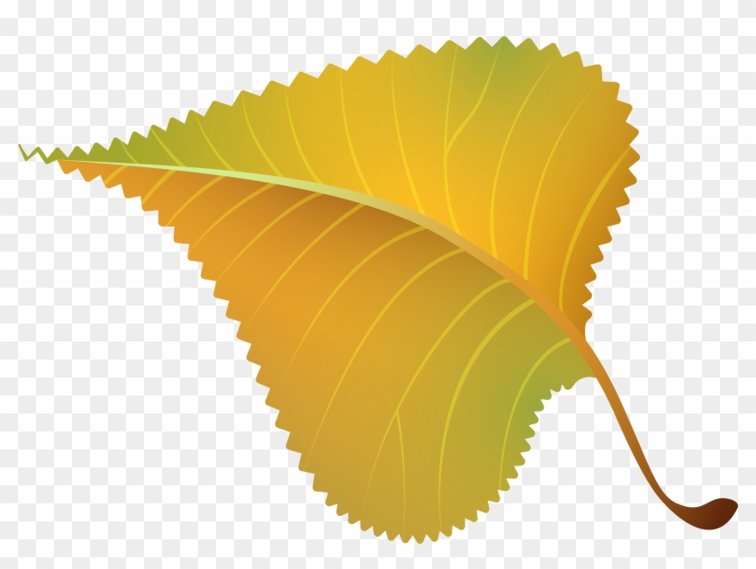 Fall Yellow Leaf Png Clipart Image - 40th Class Reunion #20535