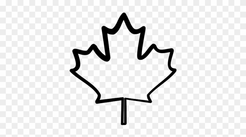Maple Leaf Clipart Transparent - Maple Leaves White Png #20536