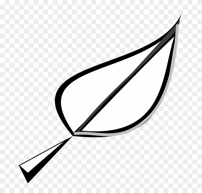 Leaf Outline Free Images On Pixabay Clip Art - Leaf Clipart Outline