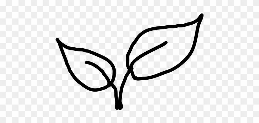 Plant Leaf Outline 1 Transparent Cliparts - Remo Drum Heads Logo #20542