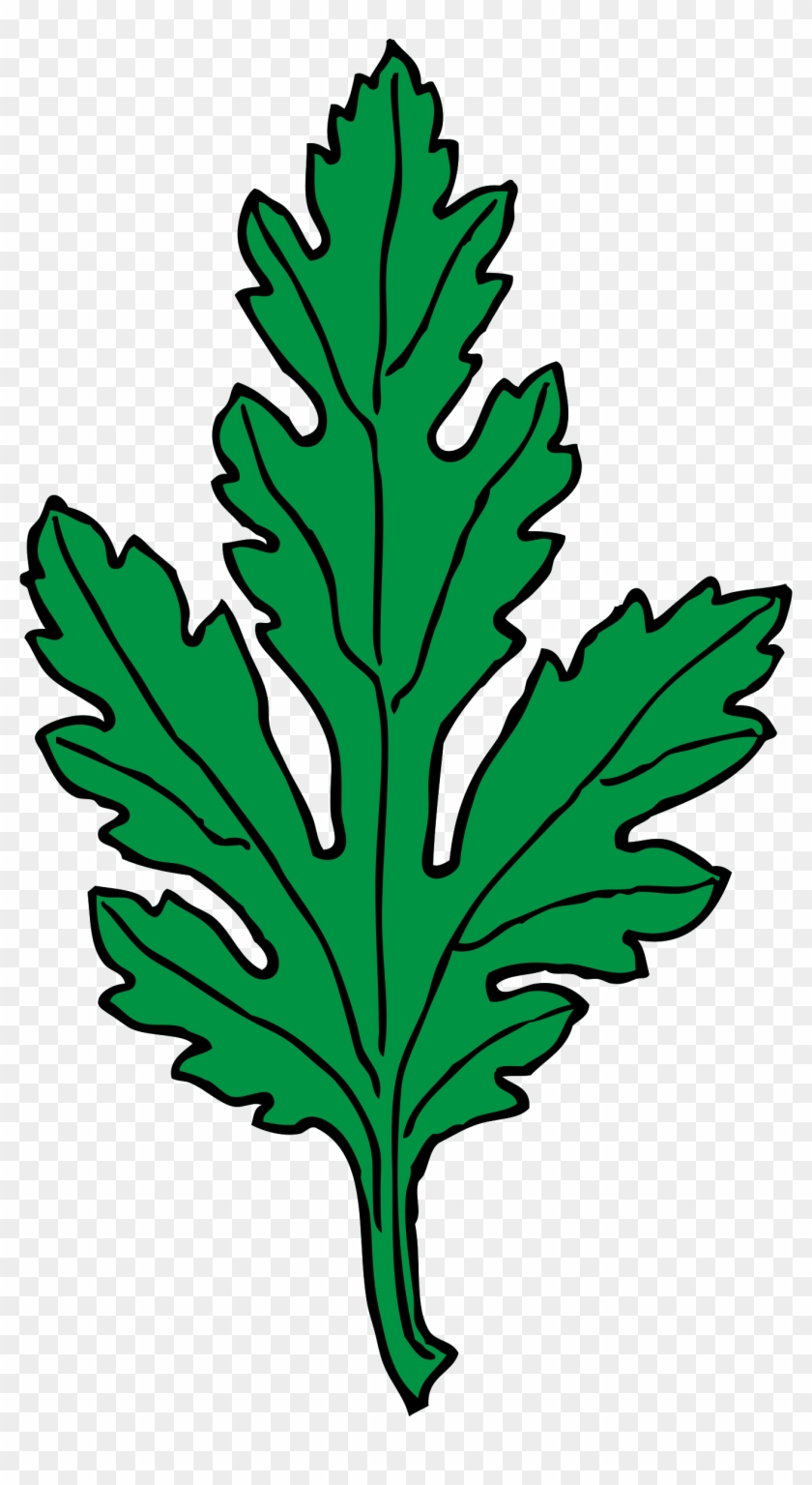 Big Image - Green Leaf Clip Art #20554