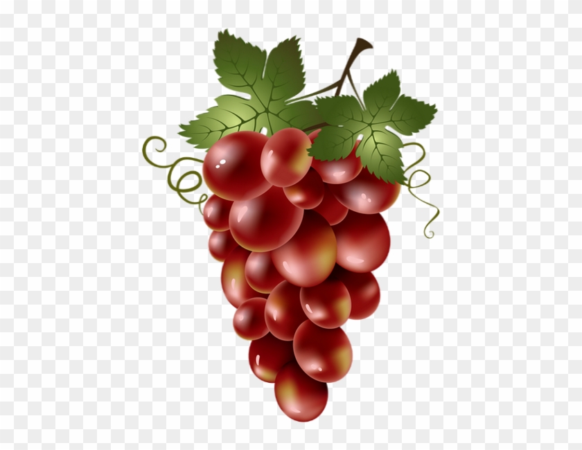 Explore Food Clipart, Fruit Clipart And More - Imagenes De Racimos De Uvas #20571