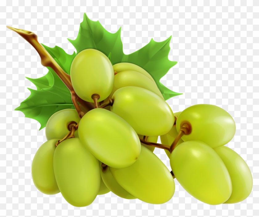 White Grapes Png Clipart - Haier Portable Mini Food Blender/mixer/baby Food Maker #20587