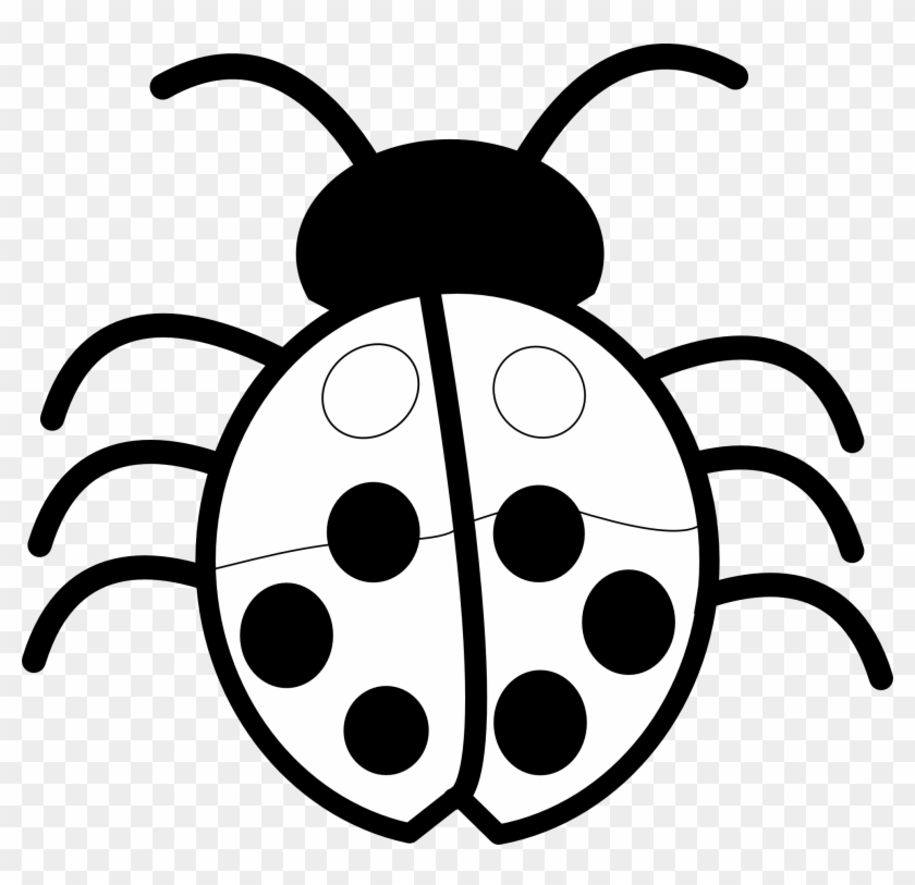 Bugs Image Free Pictures Bug Clip Art Image - Clipart Of Flowers Black And White #20579