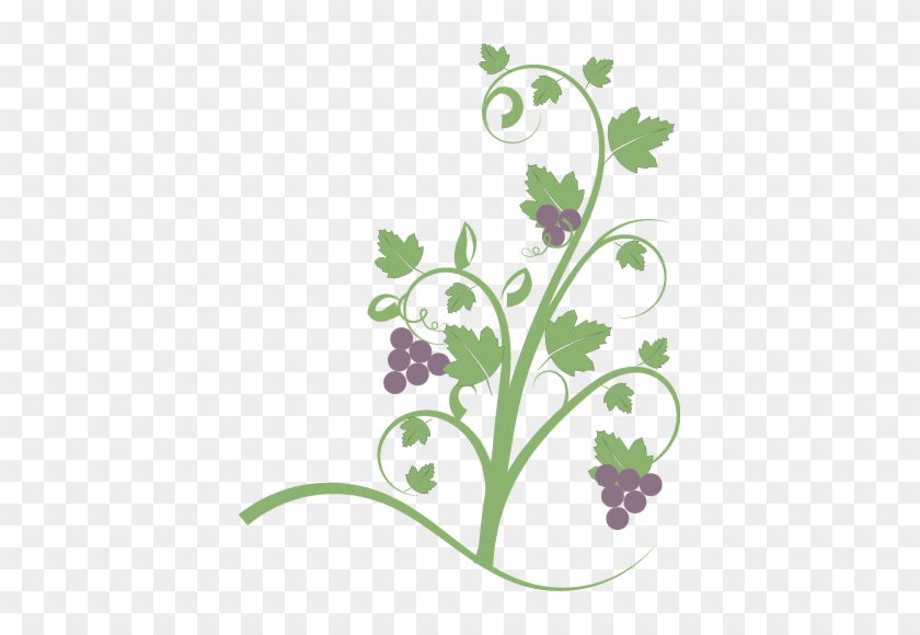 Grapevines - Vine With Fruit Clipart #20618