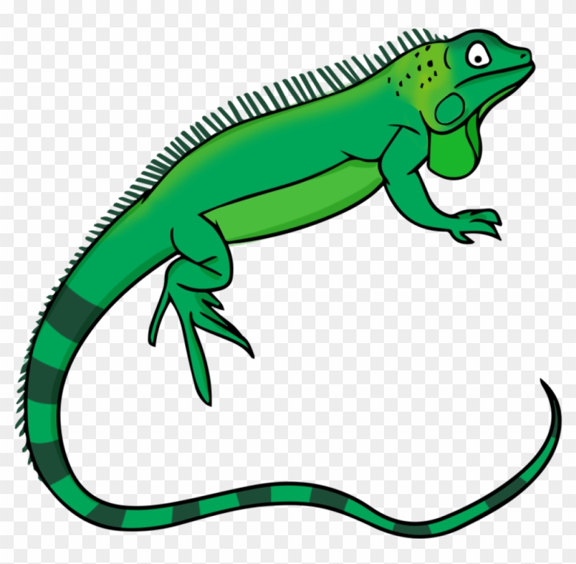 Lizard Clipart Free To Use Public Domain Lizards Clip - Iguana Clip Art #20638