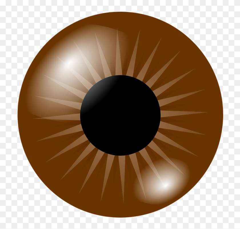 Brown Eye Clip Art At Clker - Brown Eye Clipart #20680