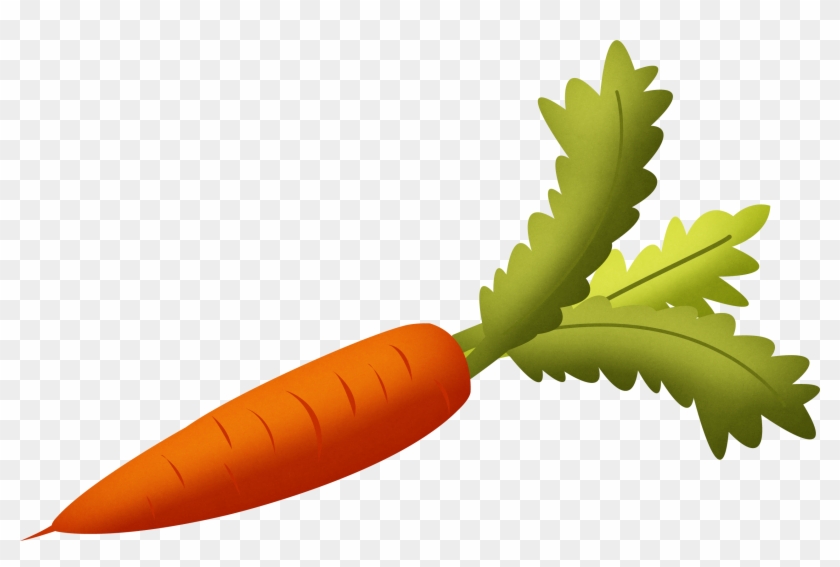 Carrot With Green Leaves Clipart Isolated Stock Photonobacks - Carrot Png #20688