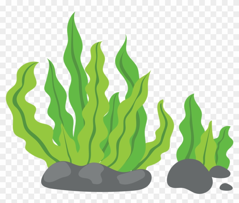 Seaweed Clip Art - Seaweed Clip Art #20758