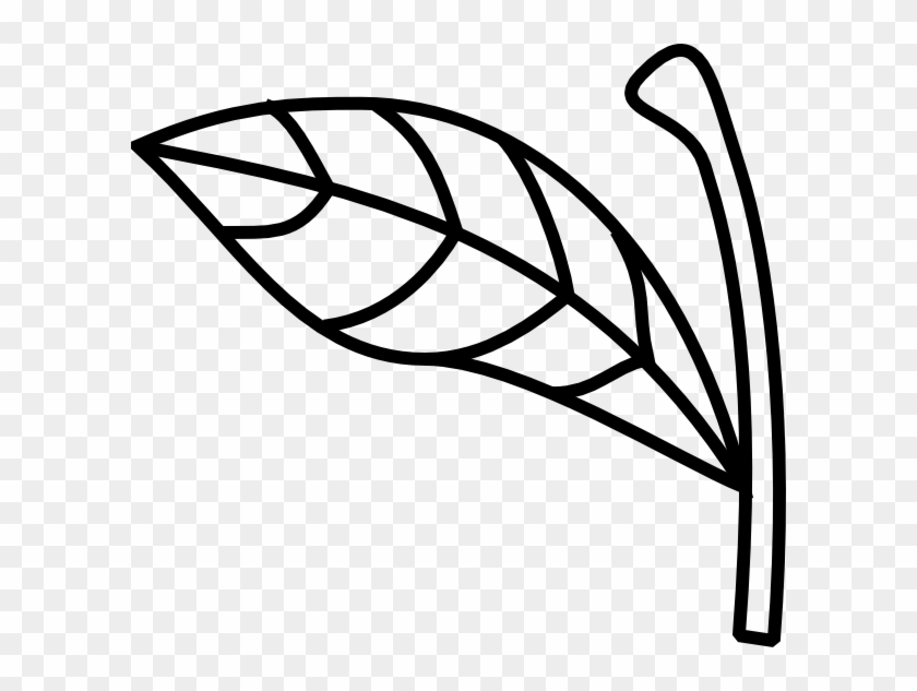Apple Stem And Leaf #20734