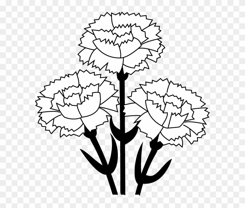 Carnation Clip Art - Carnation Flower Experiment Worksheet #21022