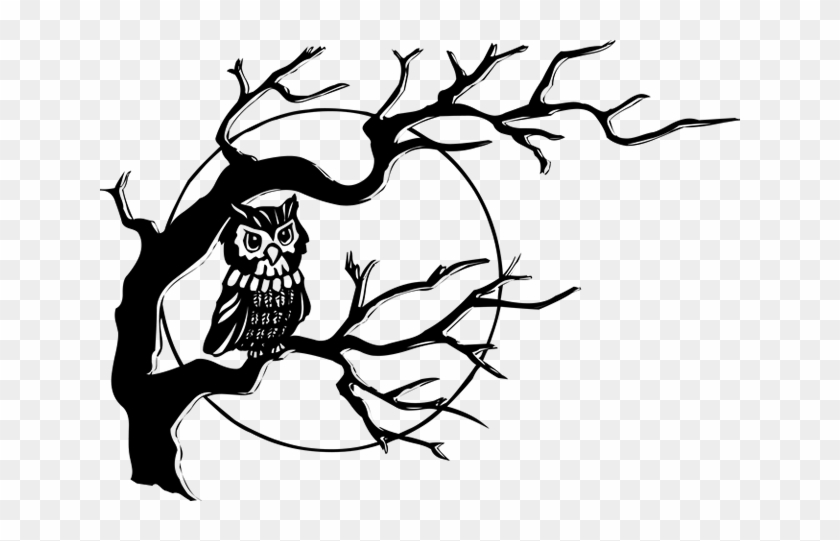 Tree-061 - Owl On A Tree Drawing #21066