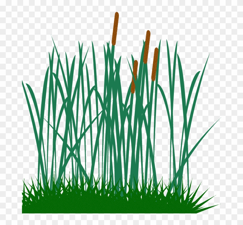 Tall Grass Clip Art Png Image - Tall Grass Vector #21324