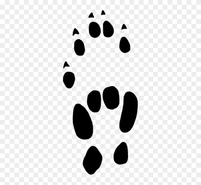 Stoat Paw Prints Clipart 22 Mm - Stoat Paw Prints Clipart 22 Mm #21664