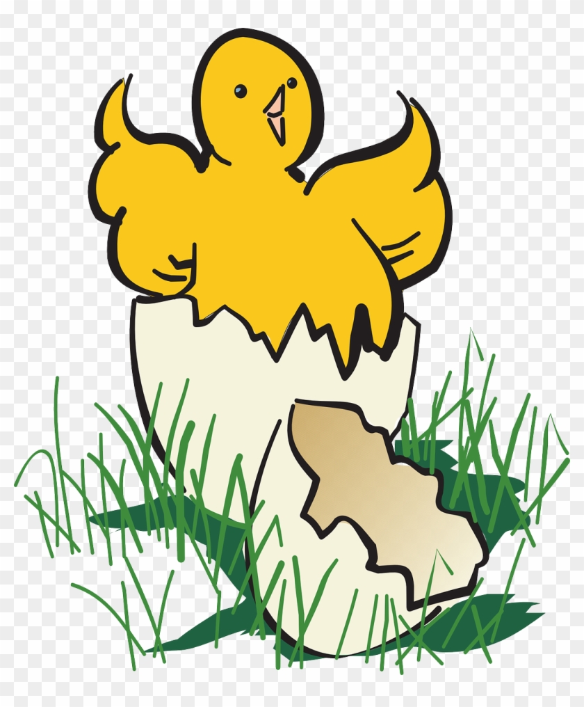 Baby Chick Hatching Clip Art - Gambar Kartun Telur Ayam Menetas #21698