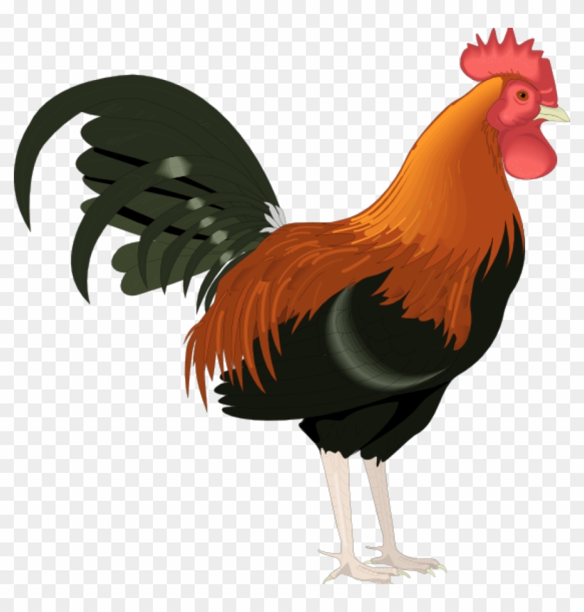 Rooster Clipart Rooster Clip Art Cartoon Free Clipart - Rooster Clipart #22062