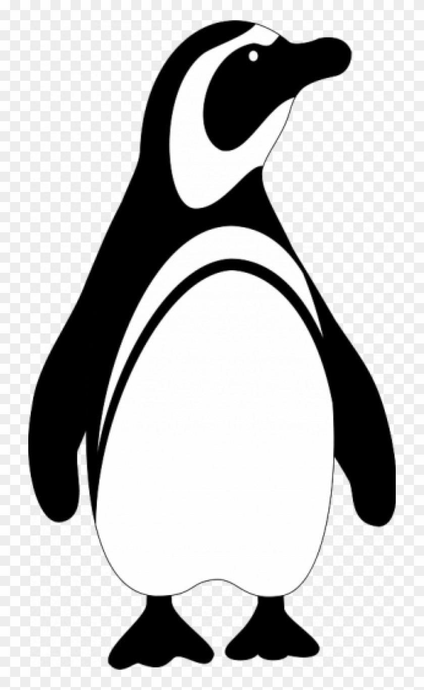Permalink To Penguin Clipart Black And White Baby Clipart - Black And White Penguin #22357