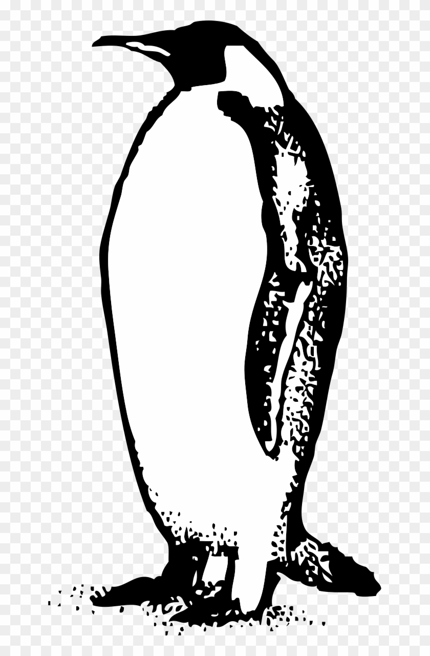 Penguin Black And White Penguin Clip Art Black And - Black And White Penguin Clip Art #22443