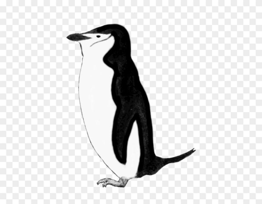 Penguin Clip Art Black And White - Clip Art #22501