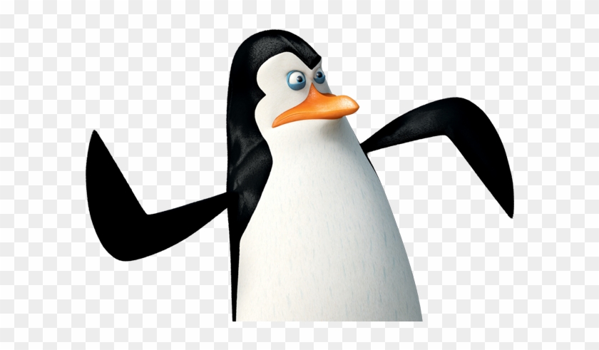 Madagascar Penguins Png - Kowalski Penguins Of Madagascar #22662