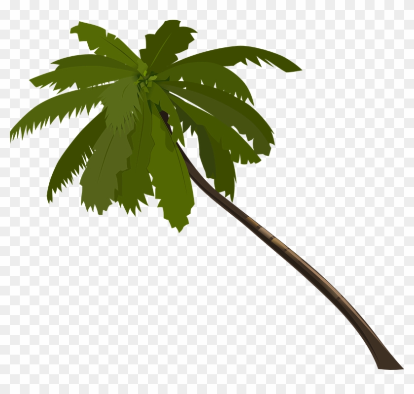 Palm Tree Clipart Brown - Jungle Trees Clip Art #22844