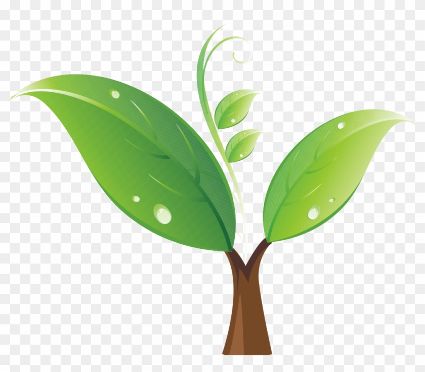 Clipart Tree Seedling Clip Art Green Sprout 1036 856 - Seedling #23047