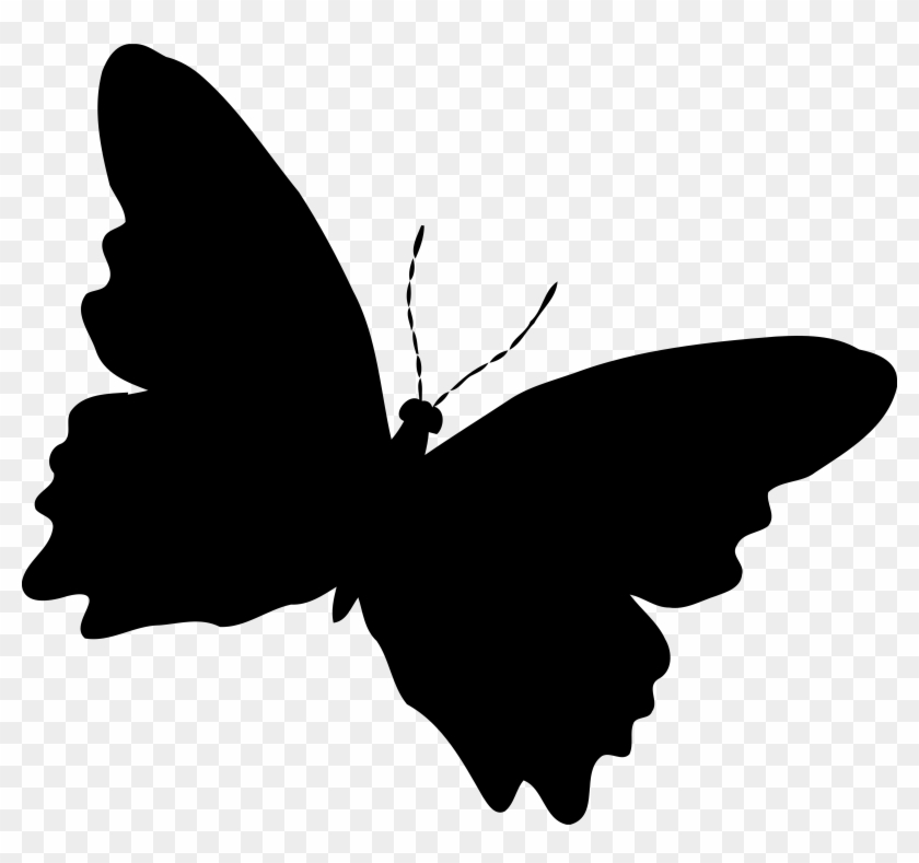 Butterfly Silhouette Cliparts Free Download Clip Art - Silhouette Butterfly #23159