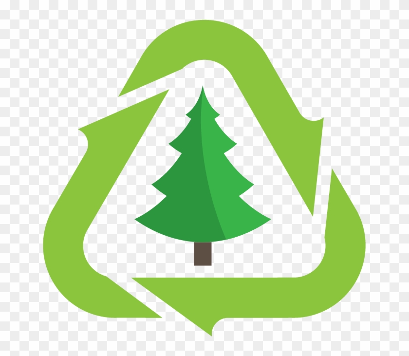 Christmas Tree Disposal - Christmas Tree Recycling #23281