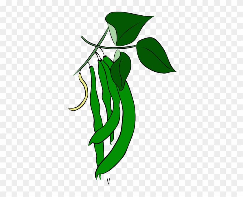 Green Beans Clip Art - Clip Art Green Beans #23632