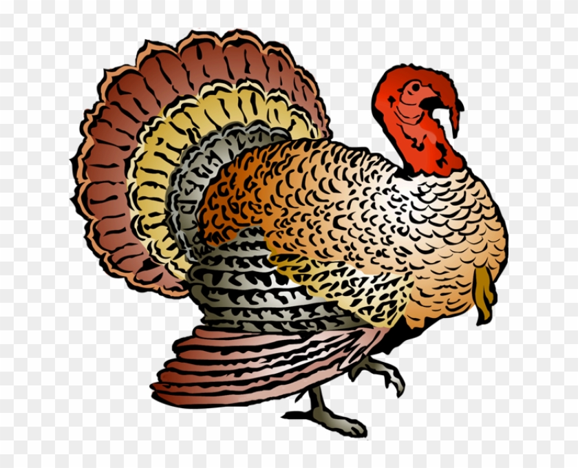 Turkey Free Thanksgiving Clipart Clip Art Pictures - Wild Turkey Clipart #23734
