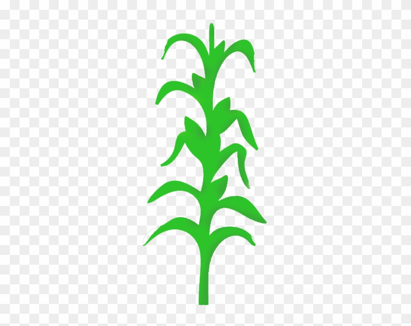 Corn Stalk Images Clip Art - Corn Stalk Png #23761